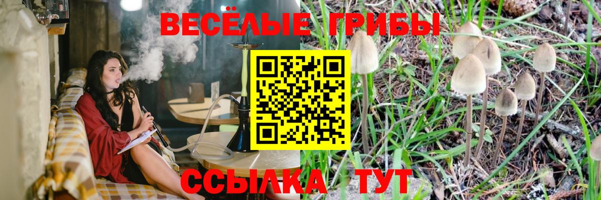 Псилоцибиновые грибы мухоморы  Вход с VPN  Вязьма 